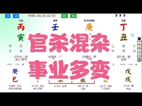 皇帝八字幾兩|免費八字輕重計算機、標準對照表查詢、意義解說。